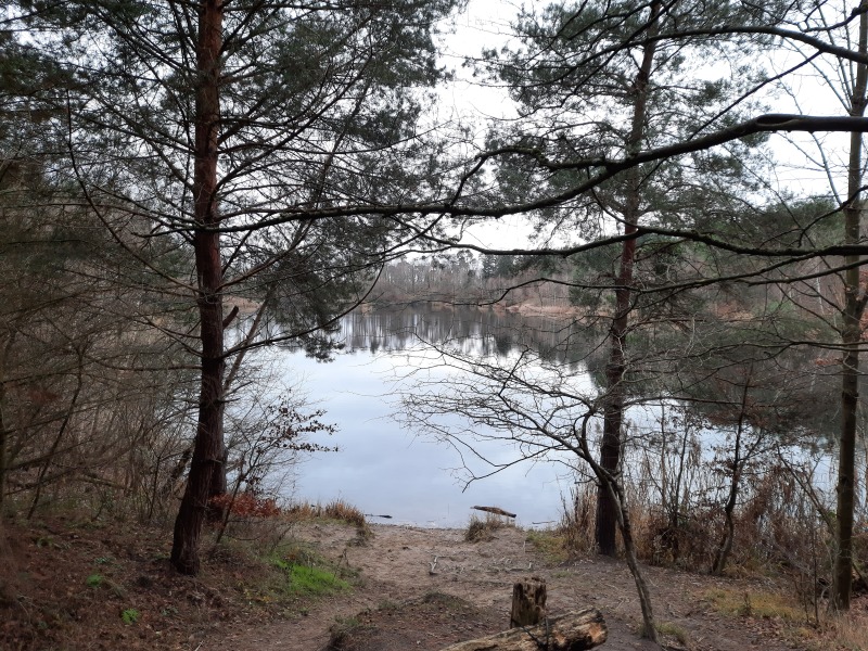 hochholzkarte