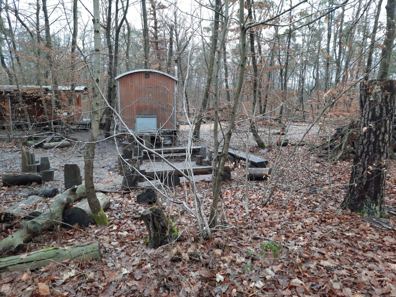 Camping