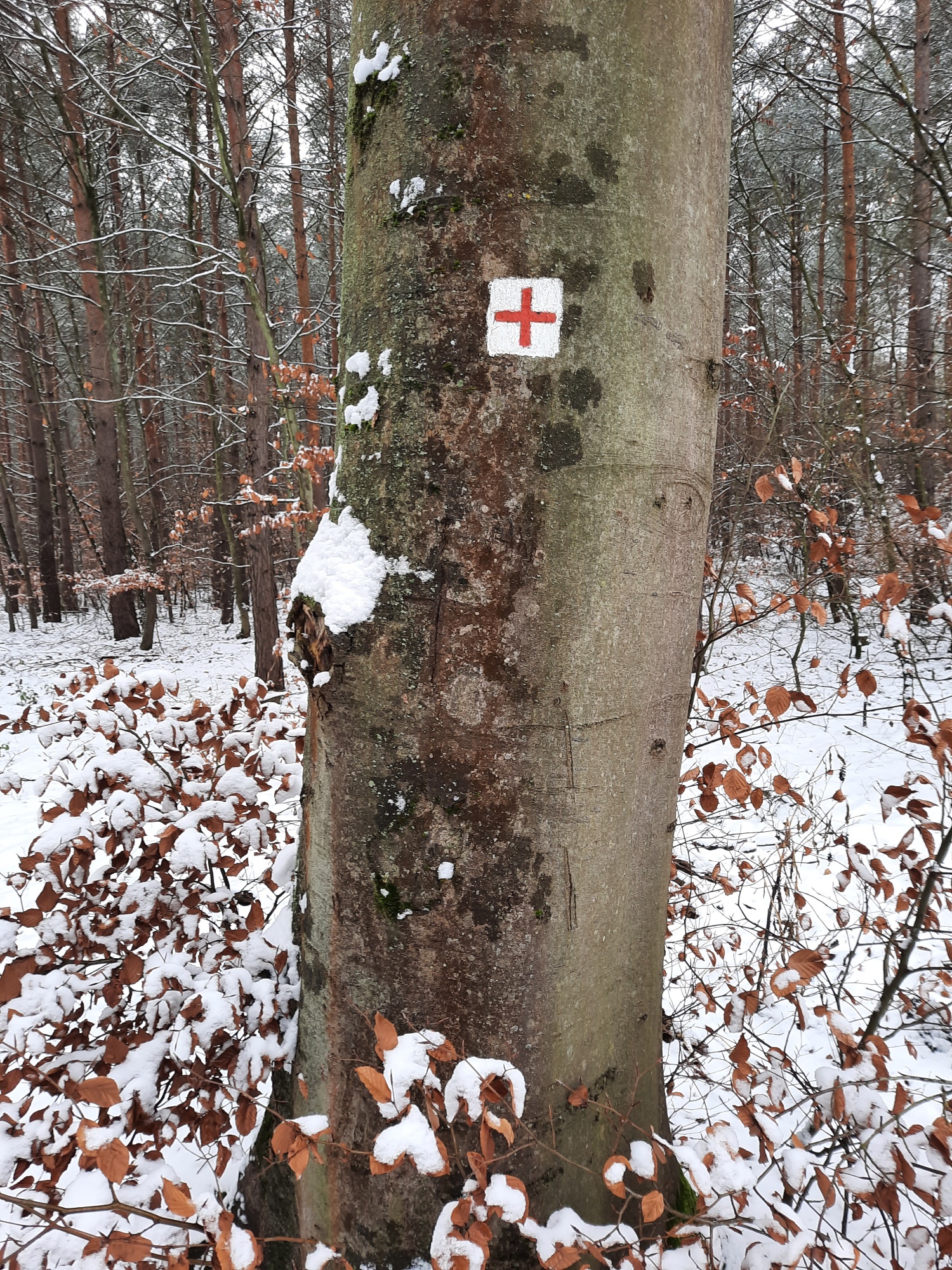 5DiesemSymbolfolgen